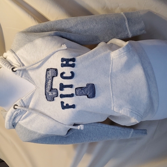 Ambercrombie and Fitch Hoodie SZ LG - Picture 1 of 7